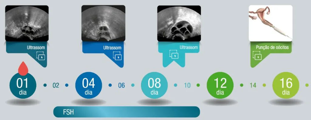 Indução para coleta de óvulos
